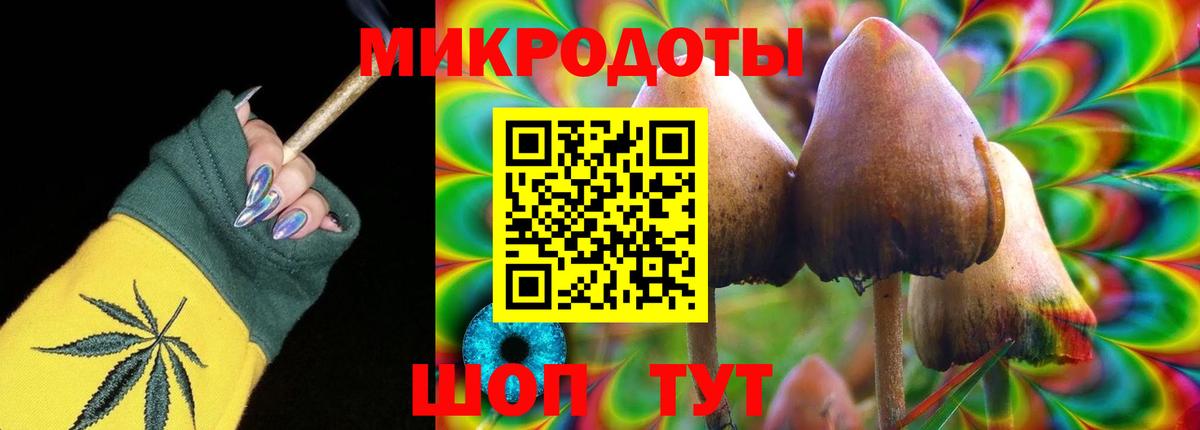 Кизляр  где продают   Вход с VPN  Псилоцибиновые грибы GOLDEN TEACHER 